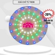 Đèn led hào quang kim sắc 58 den hao quang cong giao